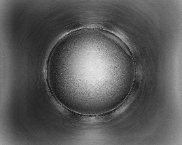 X0000089451054200706151428