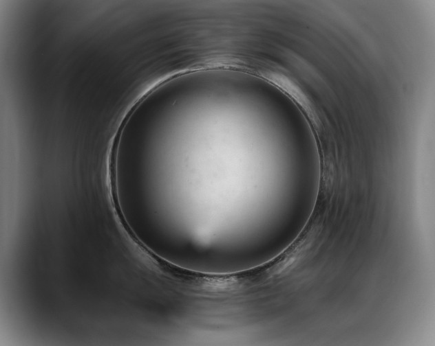 X0000089451055200706151428