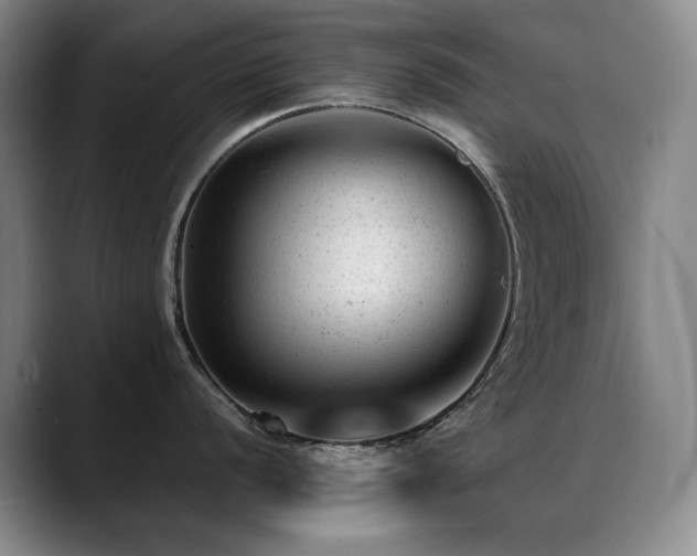 X0000089451056200706151428
