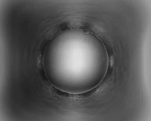 X0000089451059200706151427