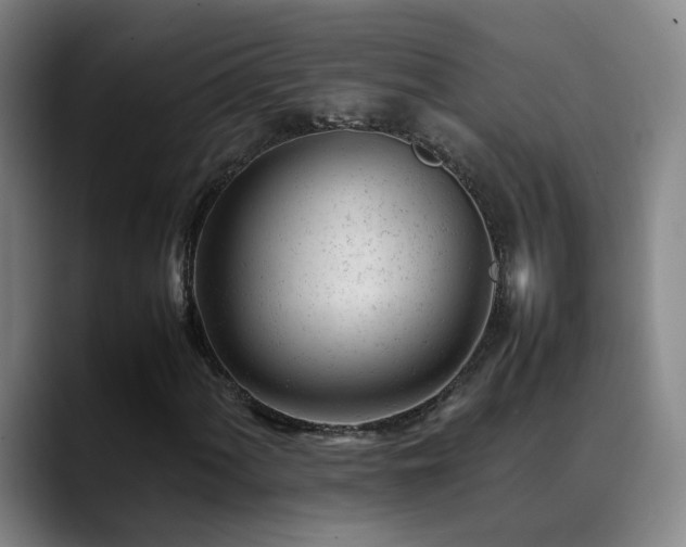 X0000089451060200706151427