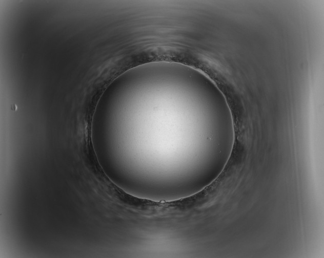 X0000089451061200706151427