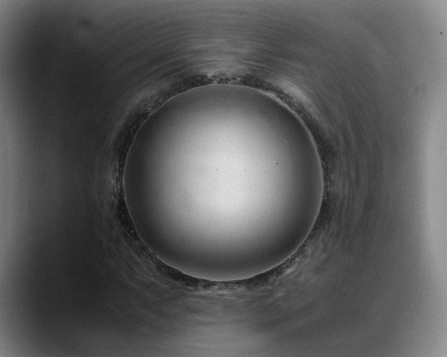 X0000089451063200706151427