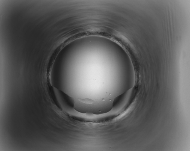 X0000089451065200706151427