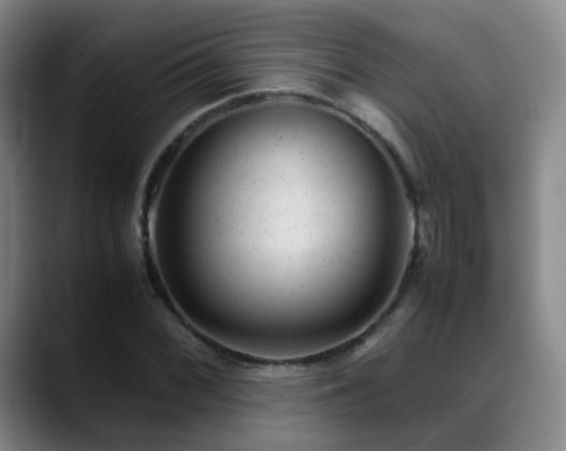X0000089451068200706151427