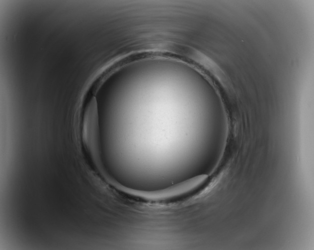 X0000089451069200706151427
