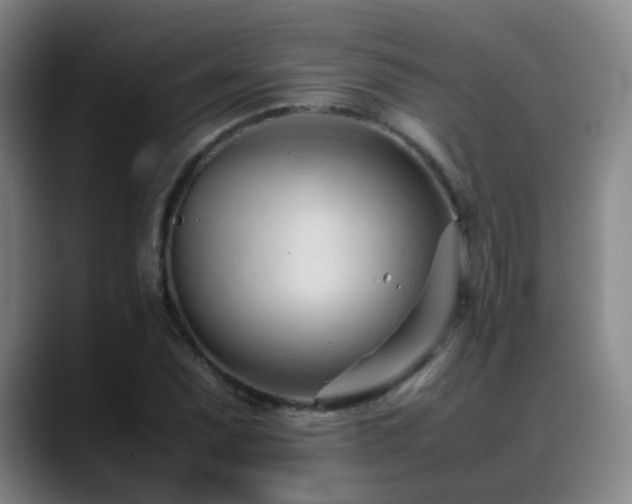 X0000089451071200706151427