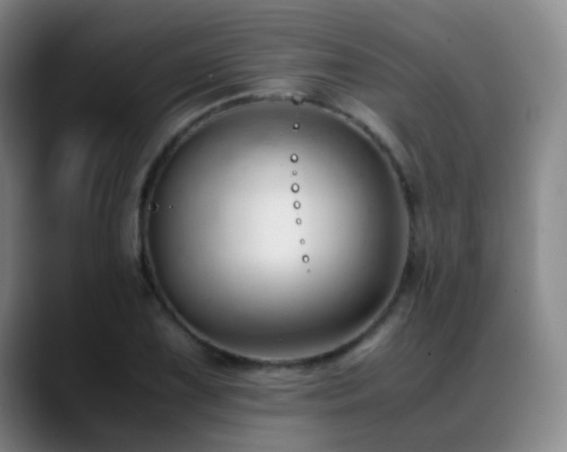 X0000089451075200706151427