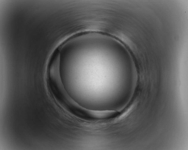 X0000089451077200706151427