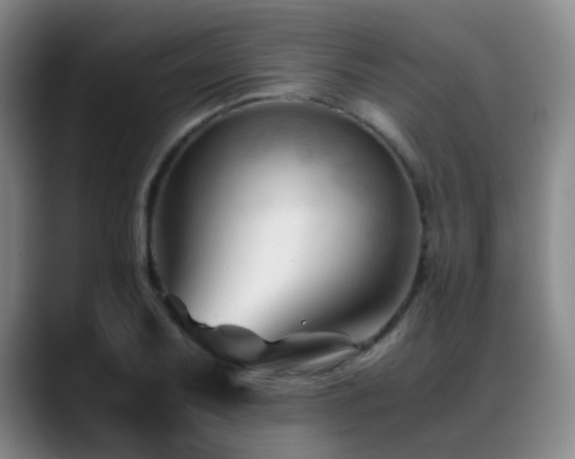 X0000089451079200706151427