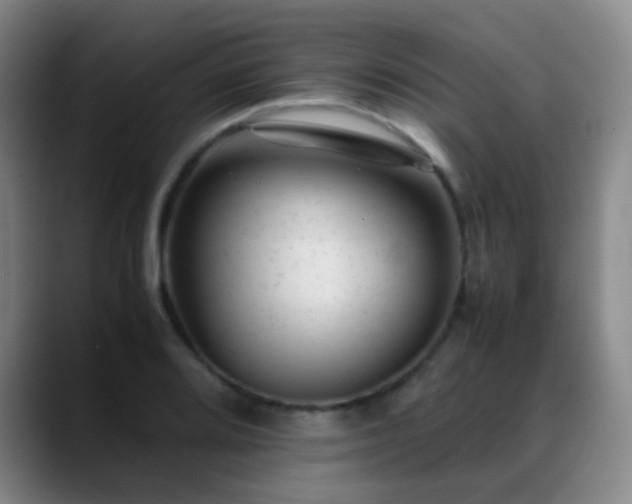 X0000089451080200706151427
