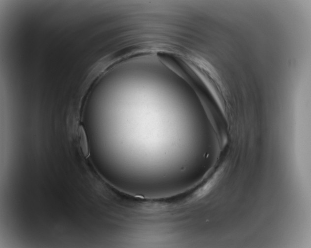 X0000089451081200706151427
