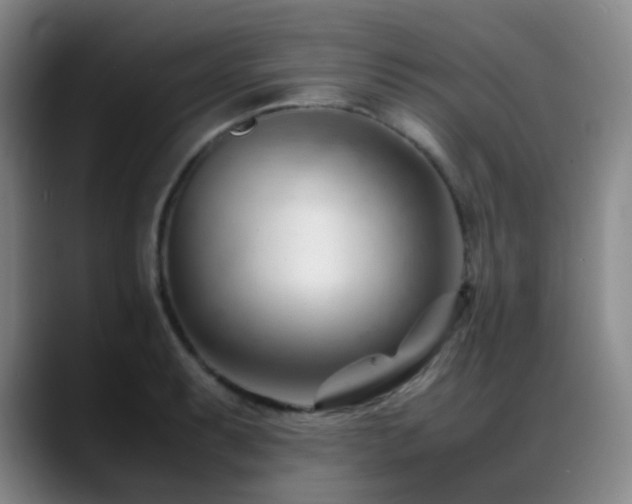 X0000089451087200706151427