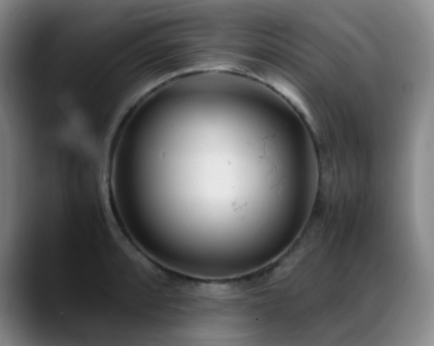 X0000089451088200706151427