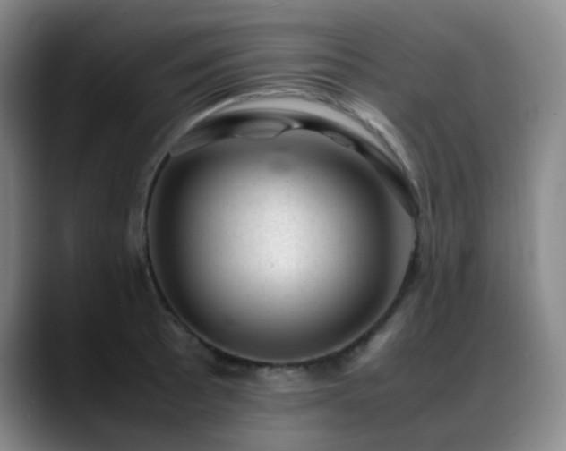 X0000089451089200706151427