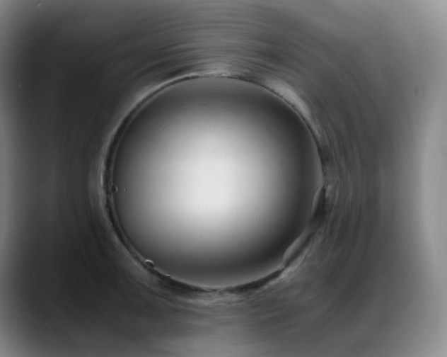 X0000089451091200706151427