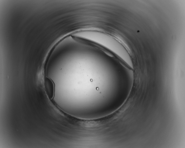 X0000089451092200706151427