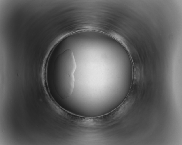 X0000089451098200706151427