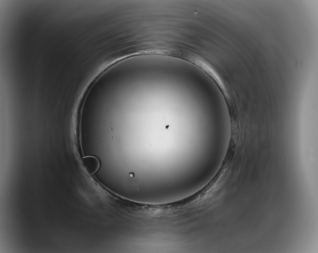 X0000089451099200706151427
