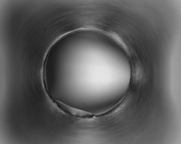 X0000089451100200706151427