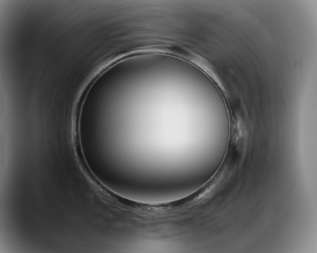 X0000089451101200706151427
