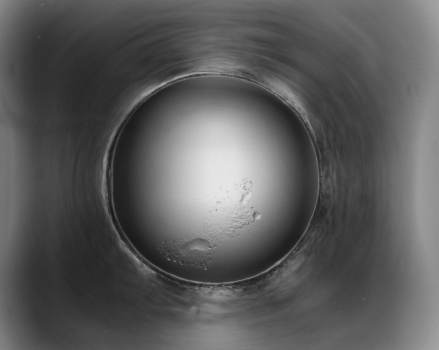 X0000089451103200706151427