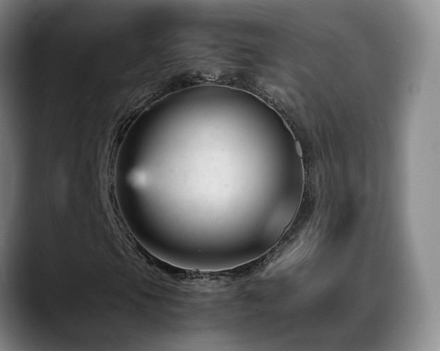 X0000089451105200706151426