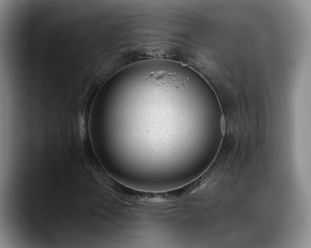 X0000089451106200706151426