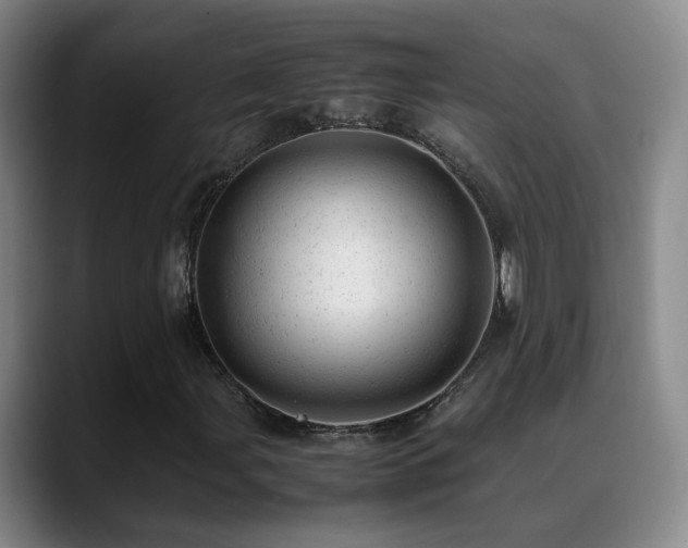 X0000089451107200706151426