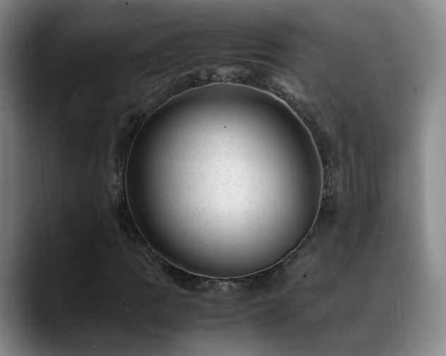 X0000089451109200706151426