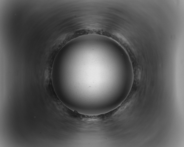 X0000089451110200706151426