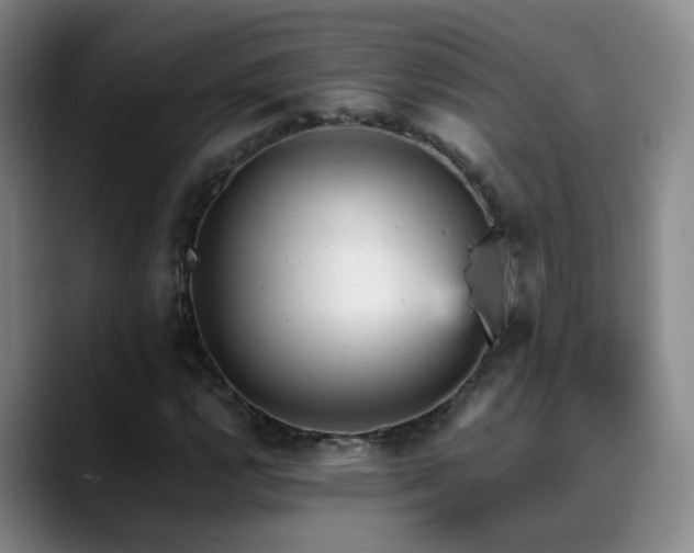 X0000089451112200706151426