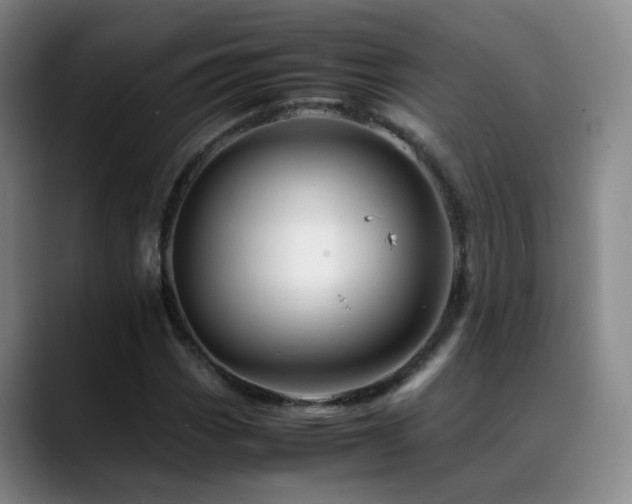 X0000089451113200706151426