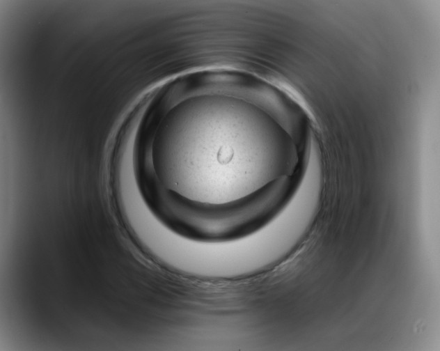 X0000089451116200706151427