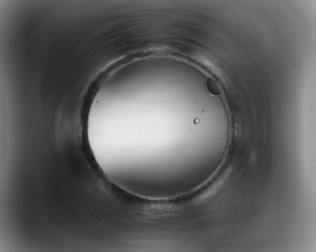 X0000089451117200706151427
