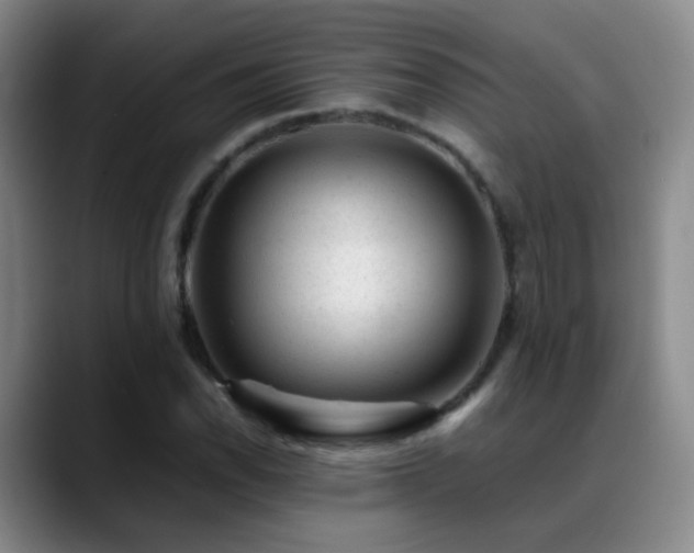 X0000089451118200706151427