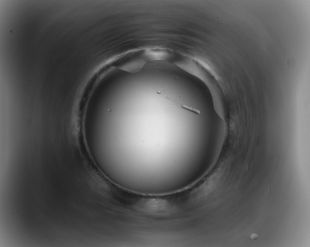 X0000089451119200706151427