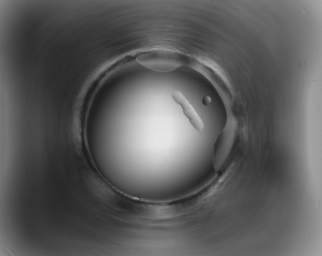 X0000089451120200706151427