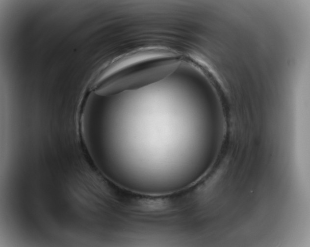 X0000089451121200706151427