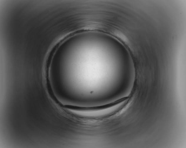 X0000089451122200706151427