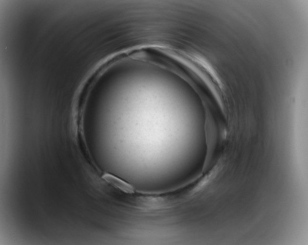 X0000089451124200706151427