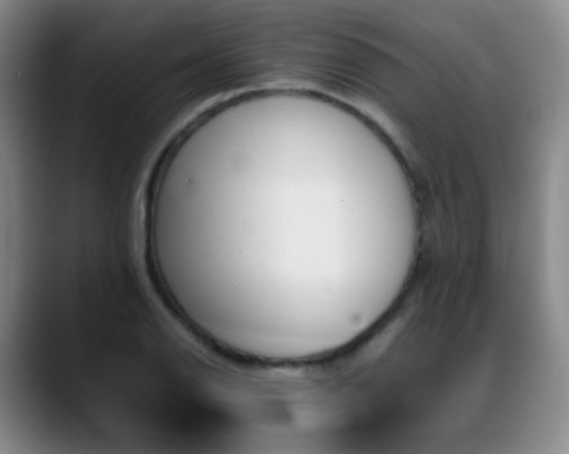 X0000089451126200706151427