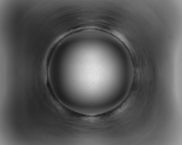 X0000089451127200706151427