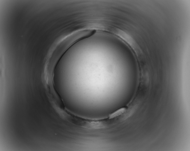 X0000089451128200706151427