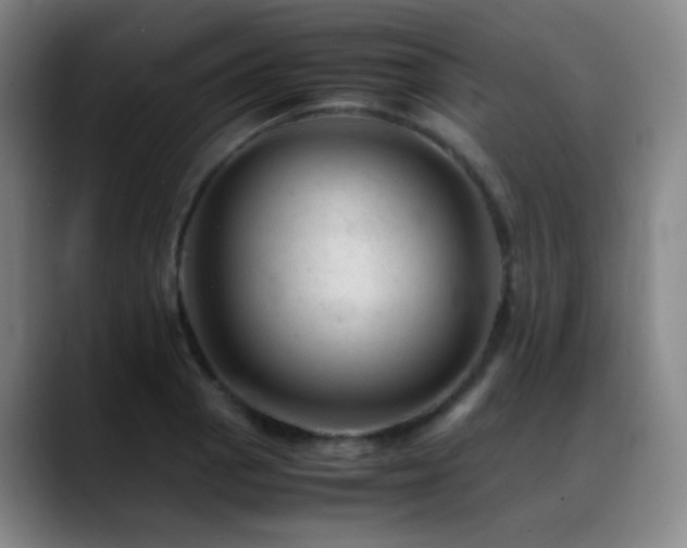 X0000089451129200706151427