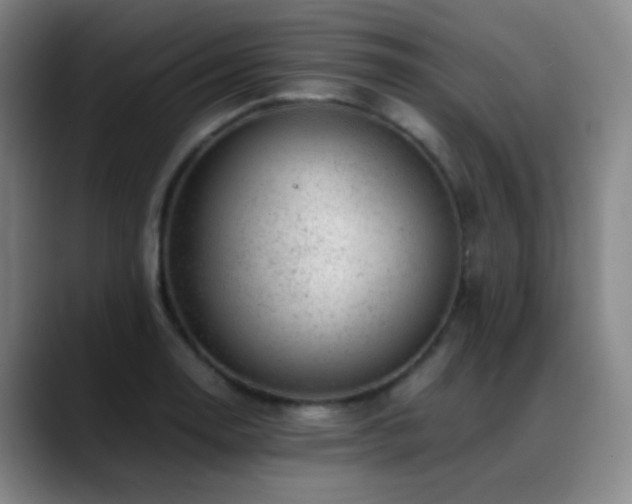 X0000089451130200706151427