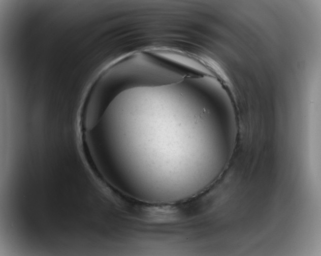 X0000089451133200706151427