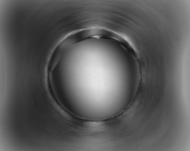 X0000089451134200706151427