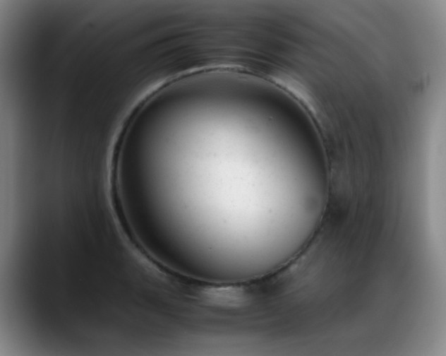 X0000089451135200706151427