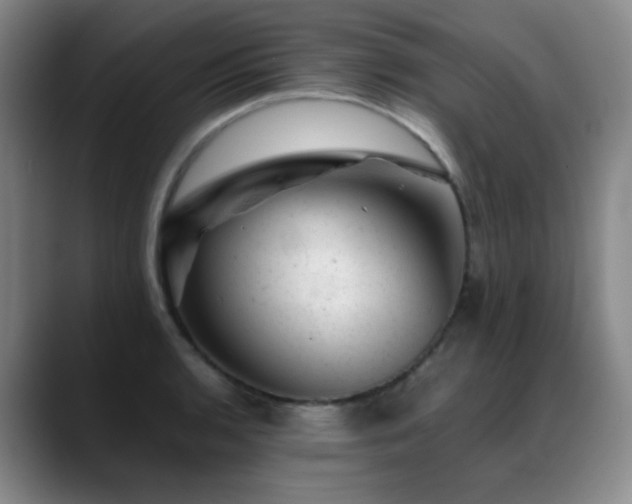 X0000089451136200706151427